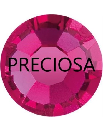 Fuchsia ss6 Preciosa